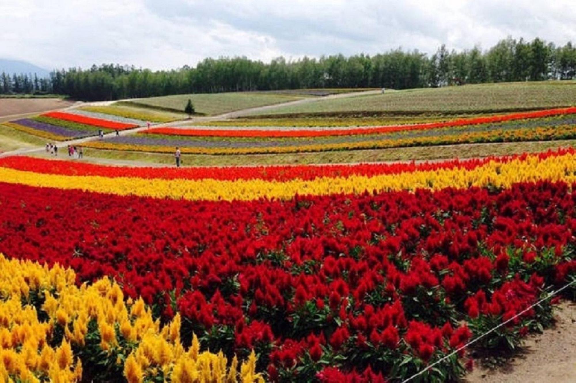 Ark City Asahikawa - Vacation Stay 8508 Dış mekan fotoğraf